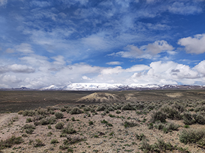 Looking westwards towards Disaster Peak over the extent of the Jindalee McDermitt Li-clay deposit. The pale yellow hills in the mid-ground represent the mineralised units. Copyright Natural History Museum.