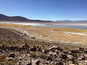 Salar de Rincon, Argentina